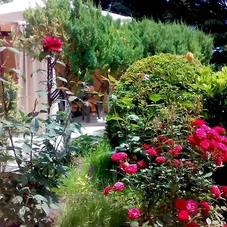 Apartment Cabacum Sanctuary